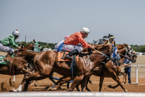 From Saddle to Smartphone: The Modern Bettor’s Toolkit in Australia